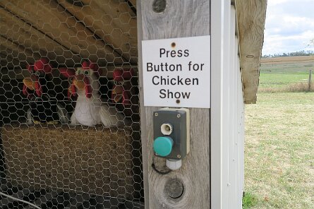 20231007_121030 null