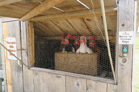 20231007_121043 null