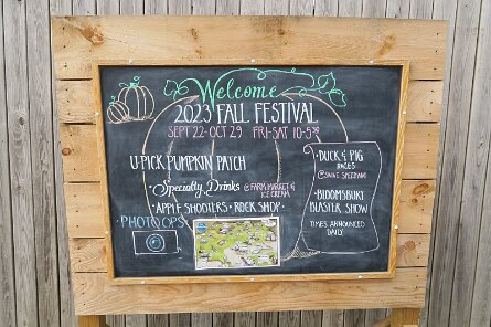 20231007_115815 null