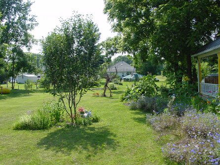063001_006 null