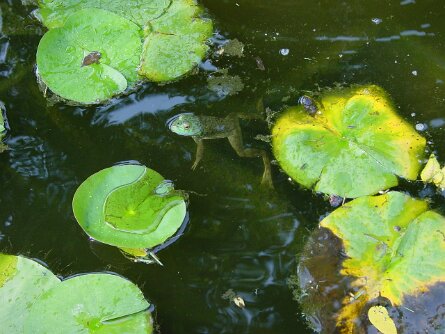 063001_013 null