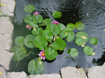 070801_004 null
