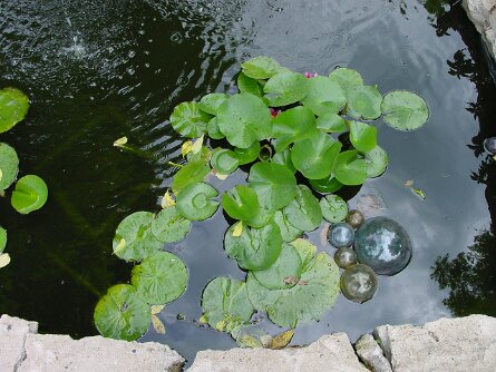 070801_005 null
