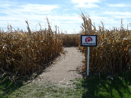 CornMaze