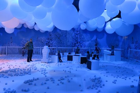20231202_125230 null