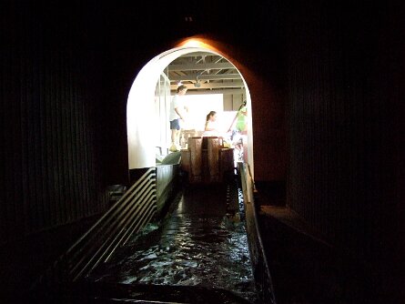20070812_172056 null