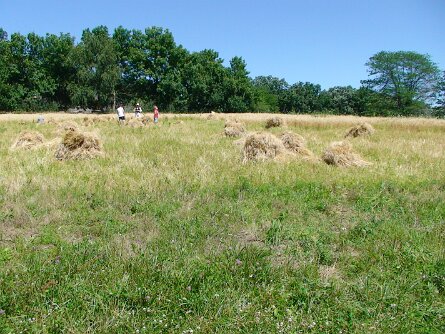 20080713_152903 null