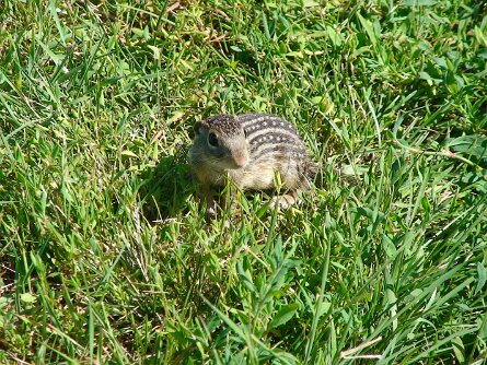 20080713_165326 null