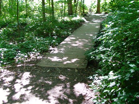 20080713_154446 null