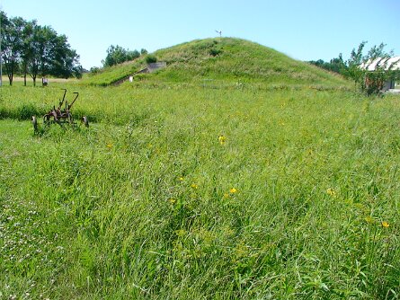 20080713_161044 null
