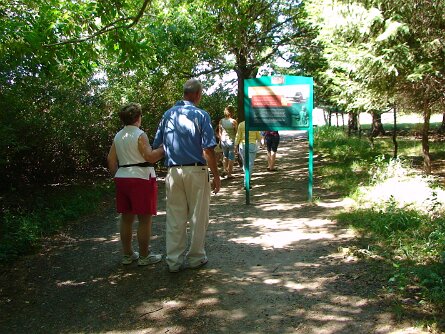 2000SeedsofChangeCropWalk