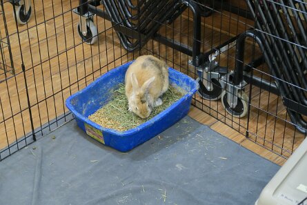 20240330_110536 null