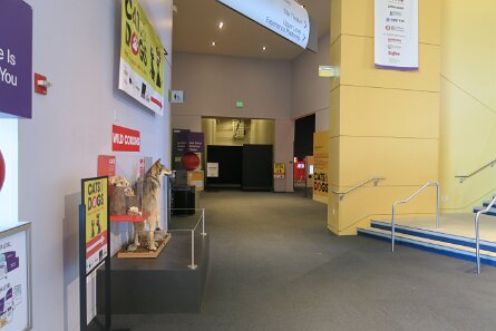 20231210_121017 null