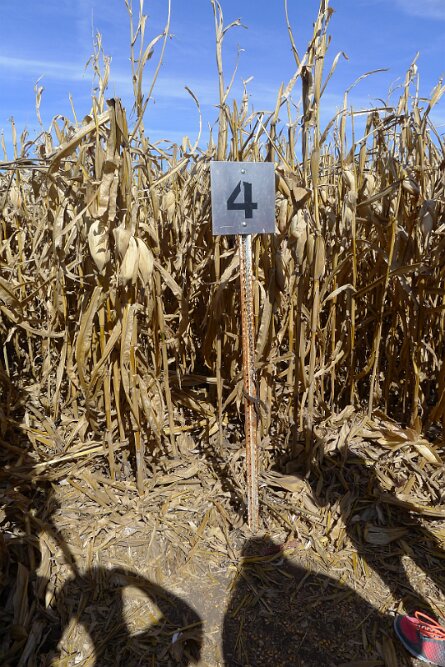 20161009_132334 null