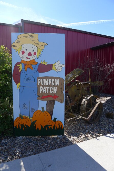 20161009_125016 null