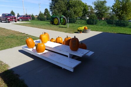 20161009_125020 null