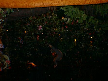 19990509_084458 null