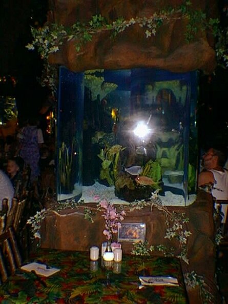 19990509_180000_3 null