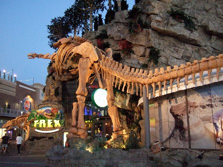 20070923_192938 null