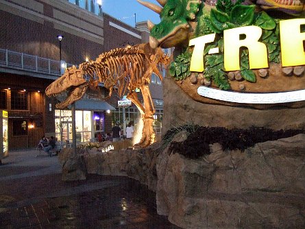 20070923_193003 null