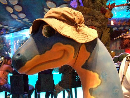 20070923_193045 null