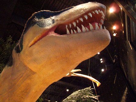 20070923_193049 null