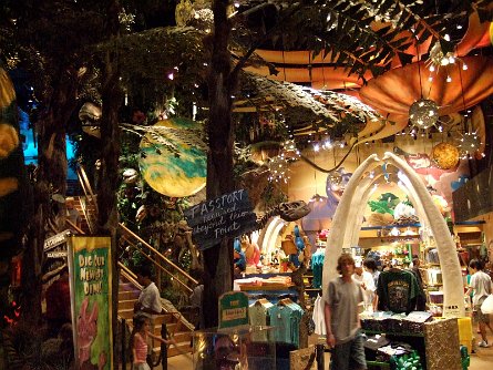 20070923_193059 null