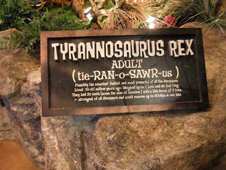 20070923_193135 null