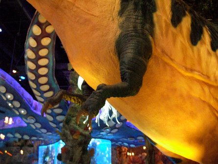 20070923_193141 null