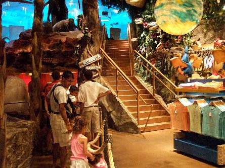 20070923_193147 null