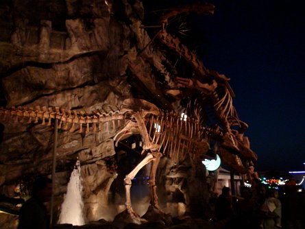 20080927_194032 null