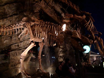 20080927_194052 null