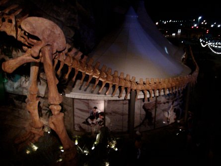 20080927_194405 null