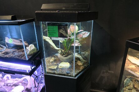 20230528_094409 null