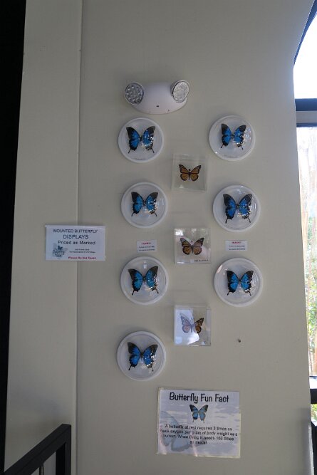 20230528_095327 null