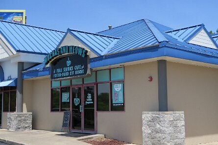 20230528_140637 null