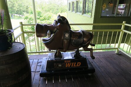 20230528_124518 null