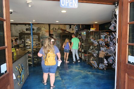 20240705_151831 null