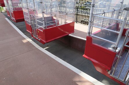 20250322_140705 null