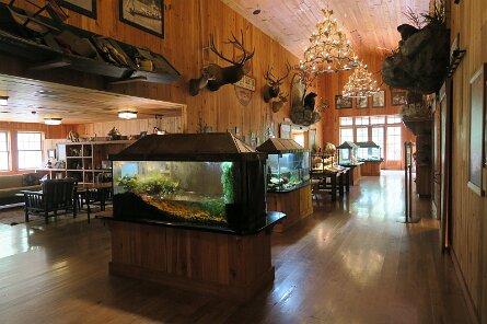 20250606_113023 null