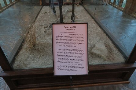 20250606_080755 null