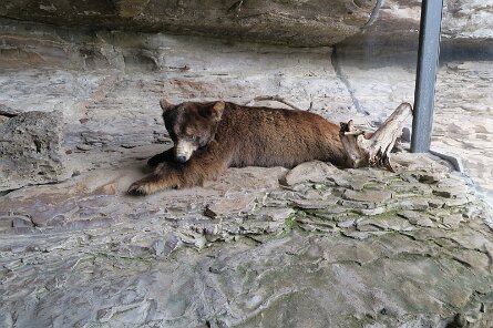 20250606_130751 null