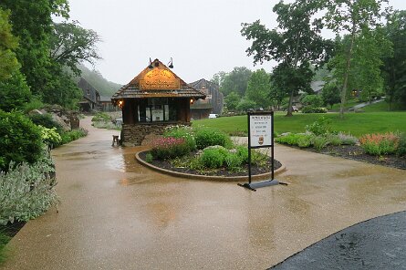 20250606_080203 null