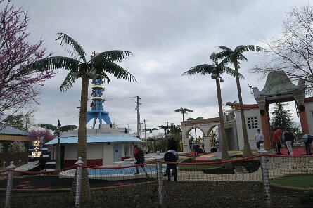 20250325_125405 null