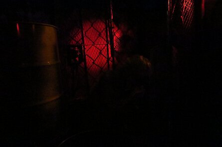 20250322_115843 null