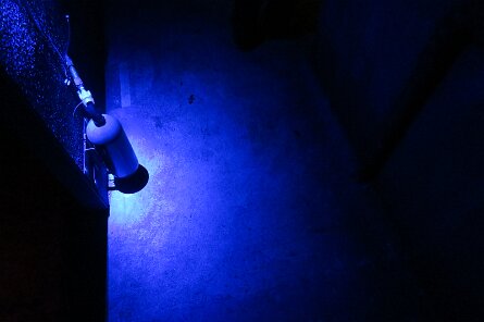 20250322_115855 null