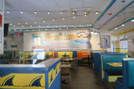 20250324_162129 null