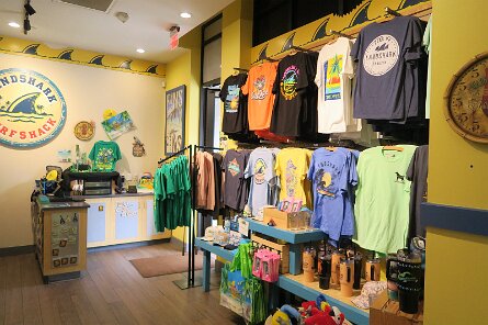 20250324_162136 null