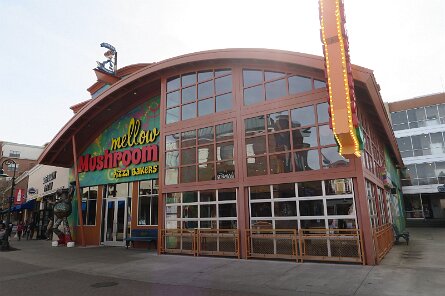 20250324_155018 null