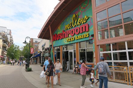 20250831_152336 null